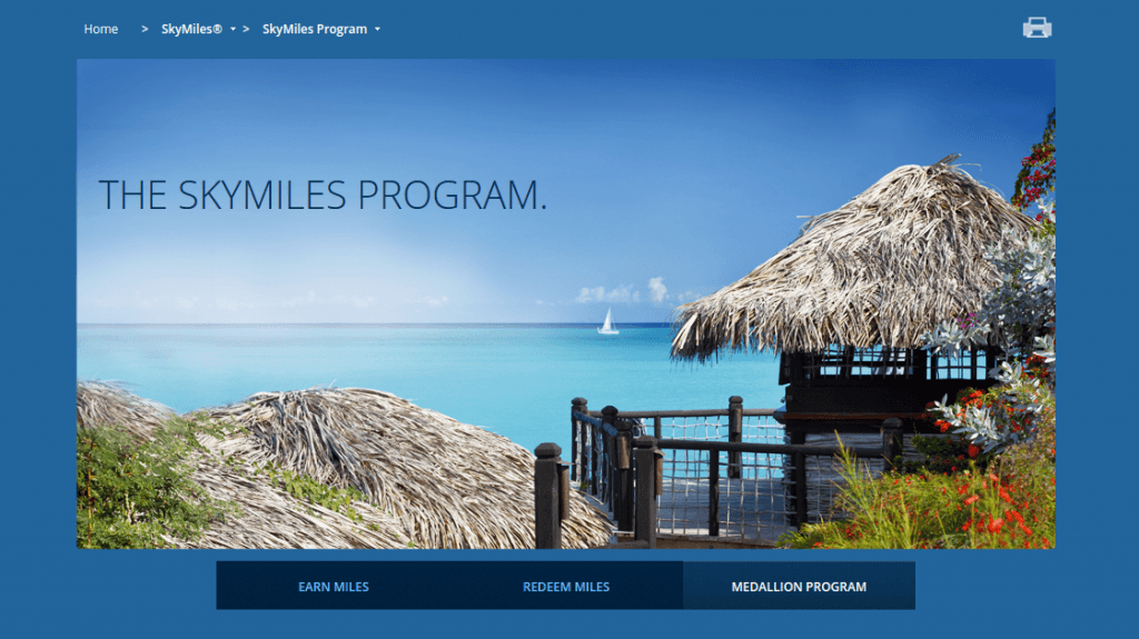 Delta's new SkyMiles program 