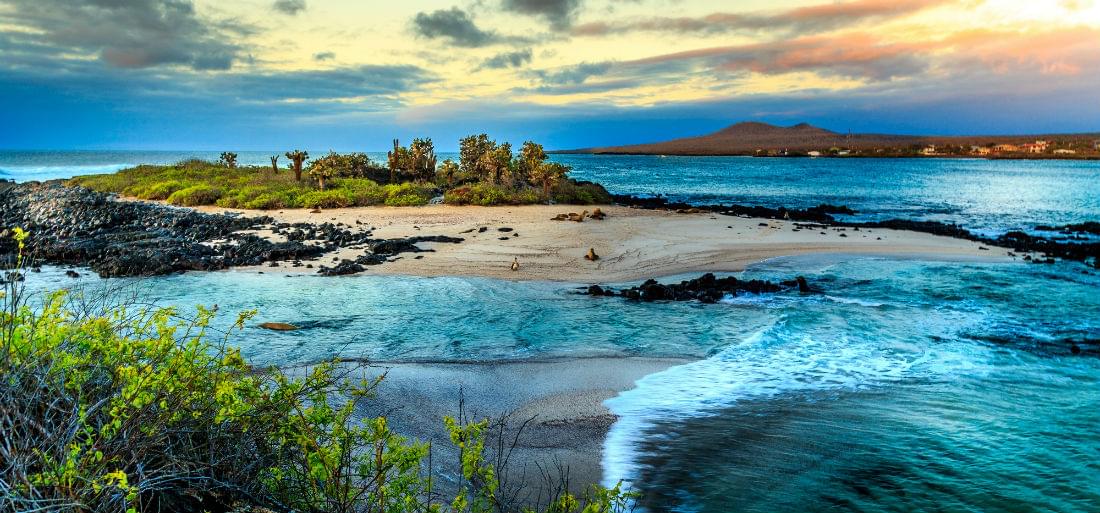 The Unique Wonders of Galapagos