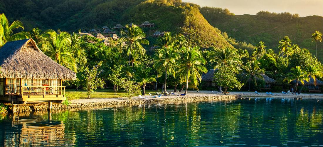 Moorea: An Island Paradise in French Polynesia