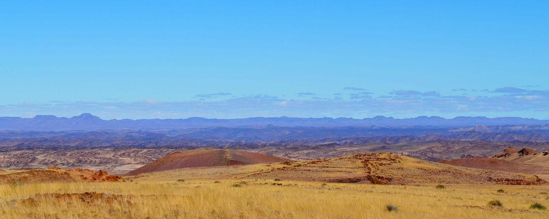 Go on Safari in Botswana