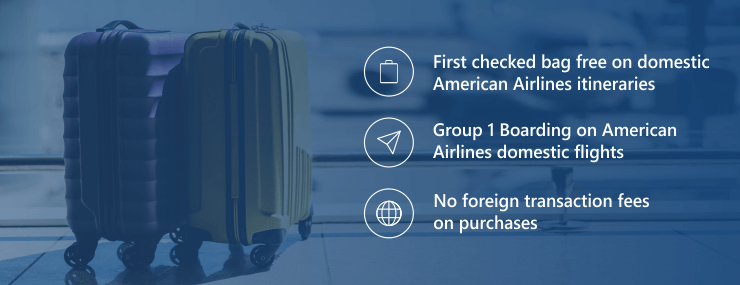 aa platinum baggage allowance