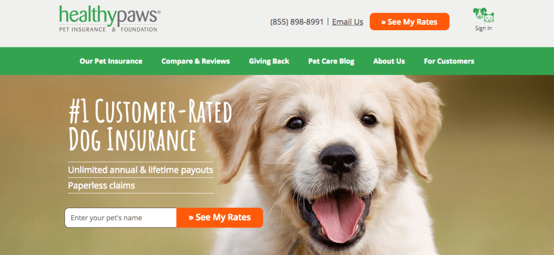 Healthy Paws Pet Insurance Helps Pet Lovers Reduce the Financial Cost