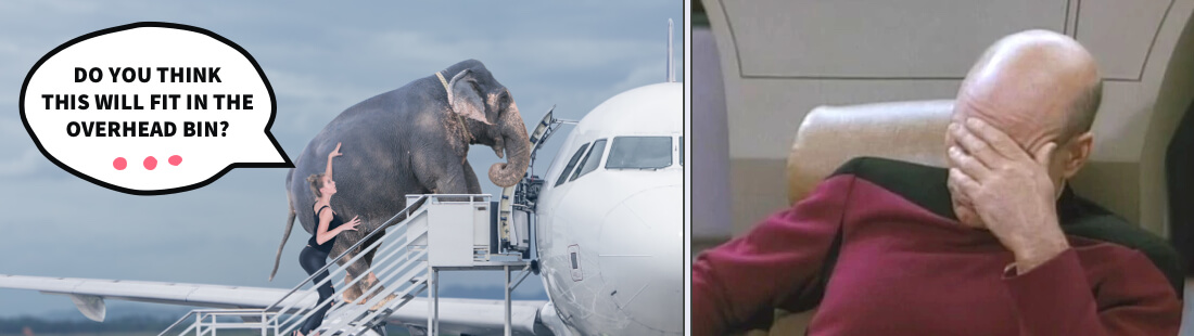 Woman escorts an elephant into the plane