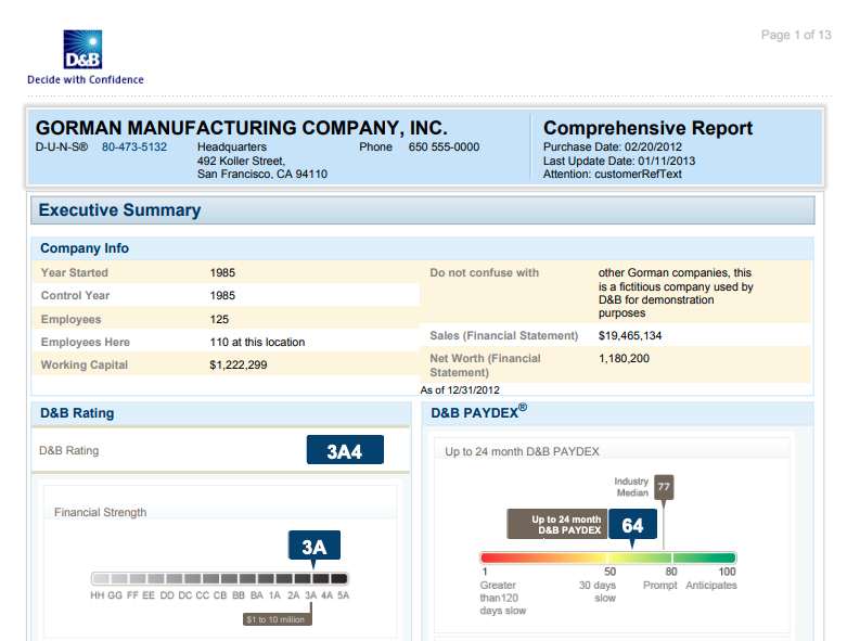 D&B Comprehensive Report Sample,D&B Comprehensive Report Sample