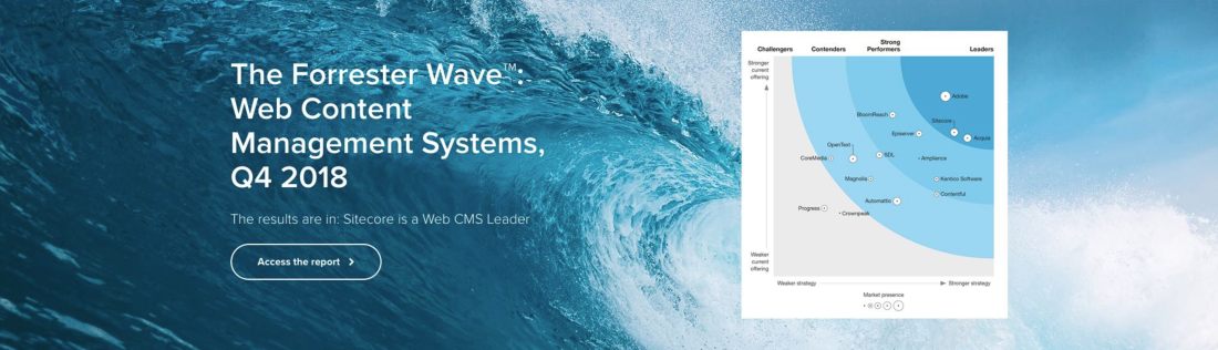 The Forrester Wave™: Web Content Management Systems